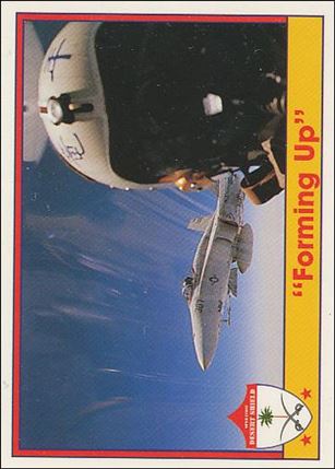 Operation Desert Shield (Base Set) card 19 