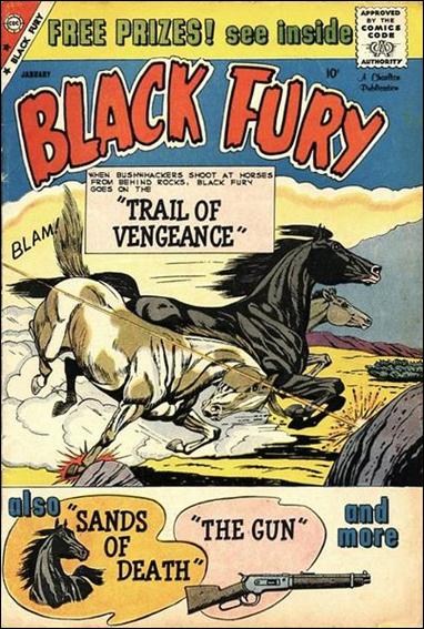 Black Fury issue 22
