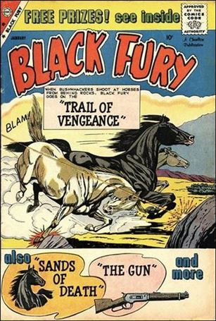 Black Fury issue 22