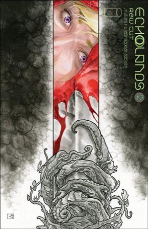 Echolands issue 2-C J.H. Williams III Raw Cut Edition Cover