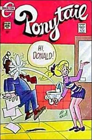 Ponytail Cover Image 2