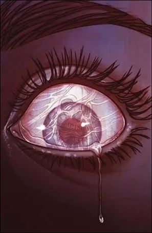 Hello Darkness issue 4-B Jenny Frison Cover
