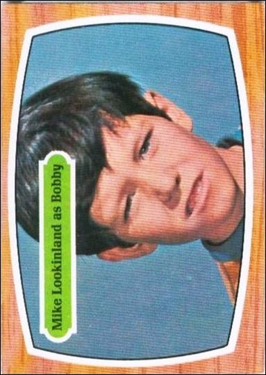 Brady Bunch (Base Set) card 6 Mike Lookinland as Booby