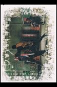 Buffy the Vampire Slayer Reflections: The High School Years (Base Set) card 16 Fighter