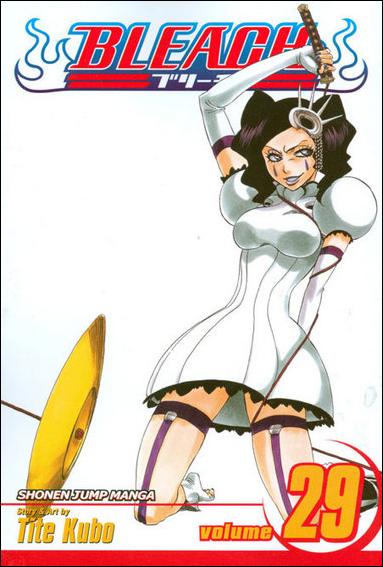 Bleach issue 29