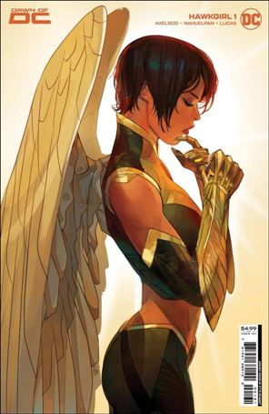 Hawkgirl (2023) issue 1-C Otto Schmidt Cardstock Cover