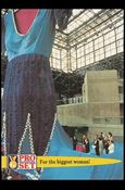 Guinness World Records (Base Set) card 12 For the biggest woman!