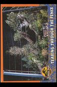 Jurassic Park (Base Set) card 31 Tearing Through the Fence
