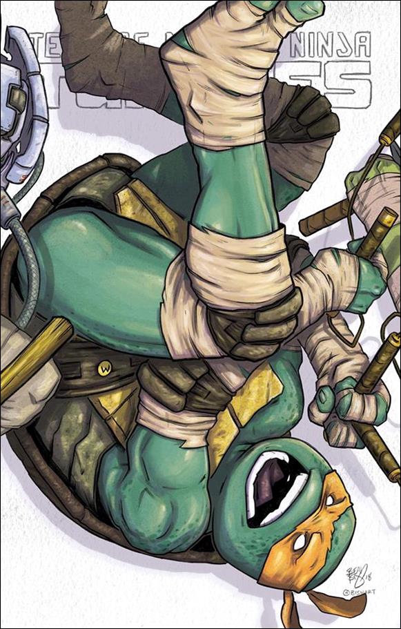 Teenage Mutant Ninja Turtles Macro-Series issue 2-D Ben Bishop Double Midnight Comics Cover