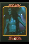 Mega Metal (Base Set) card 113 Rachel Bolan 3