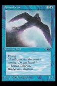 Magic the Gathering: Alliances (Base Set) card 36 Storm Crow