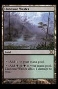 Magic the Gathering: 10th Edition (Base Set) card 355 Llanowar Wastes