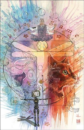 Ninja Funk: Bolo's Playground issue 1-E David Mack Virgin Cover