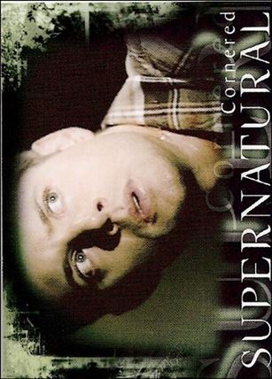 Supernatural: Season Two (Base Set) card 36 Cornered