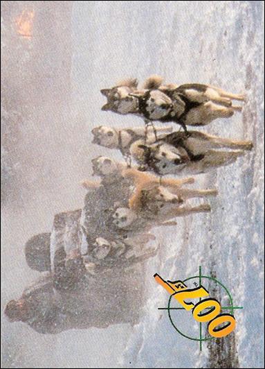 GoldenEye (Base Set) card 31 Key Survivor