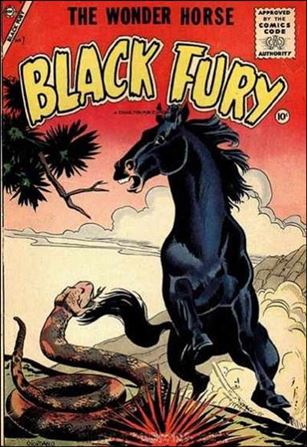 Black Fury issue 7