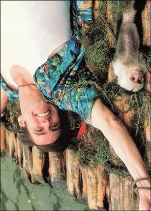 Ace Ventura: When Nature Calls (Base Set) card 65 Headed for a Fall
