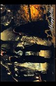 Sleepy Hollow (Movie) (Base Set) card 28 Dwelling of the Damned