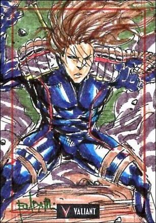 2013 Valiant Comics Preview Trading Card Set (Sketch Card Subset) card FM-20