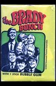 Brady Bunch Cover Image 2