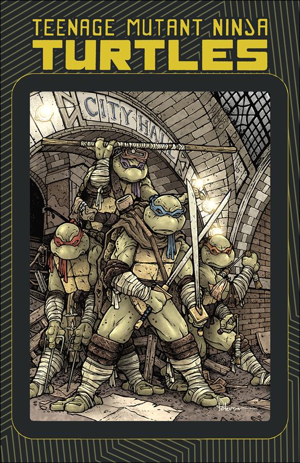 Teenage Mutant Ninja Turtles: Macro-Series issue nn