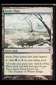 Magic the Gathering: Coldsnap (Base Set) card 143 Arctic Flats