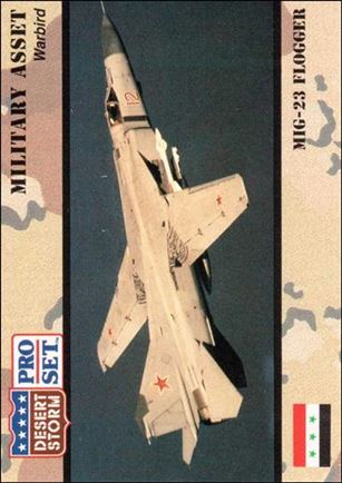 Desert Storm (Base Set) card 228
