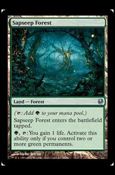 Magic the Gathering: Duel Decks: Ajani vs. Nicol Bolas card 36 Sapseep Forest