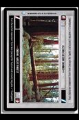 Star Wars: Endor Limited (Base Set) card 73 Endor: Great Forest