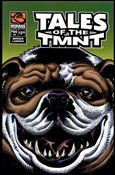 Tales of the TMNT issue 66
