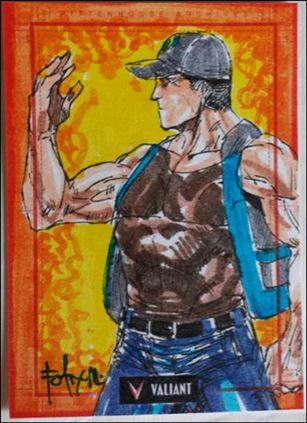 2013 Valiant Comics Preview Trading Card Set (Sketch Card Subset) card FM-12