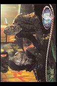 Farscape: Season Three (Base Set) card 197 “The Choice”
