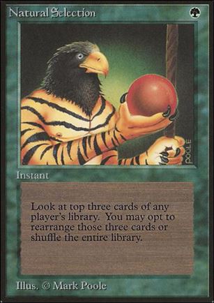 Magic the Gathering: Limited Edition Beta (Base Set) card 213 Natural Selection