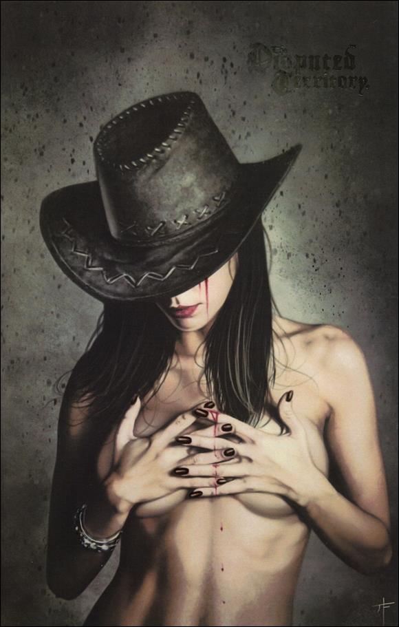 Disputed Territory issue 4-B Jay Ferguson Cover