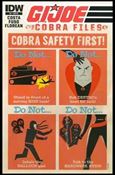 G.I. Joe: Cobra Files issue 4-C James Biggie 1:10 Cover