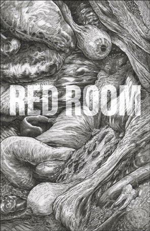 Red Room: The Antisocial Network issue 2-B Troy Nixey 1:5 Cover
