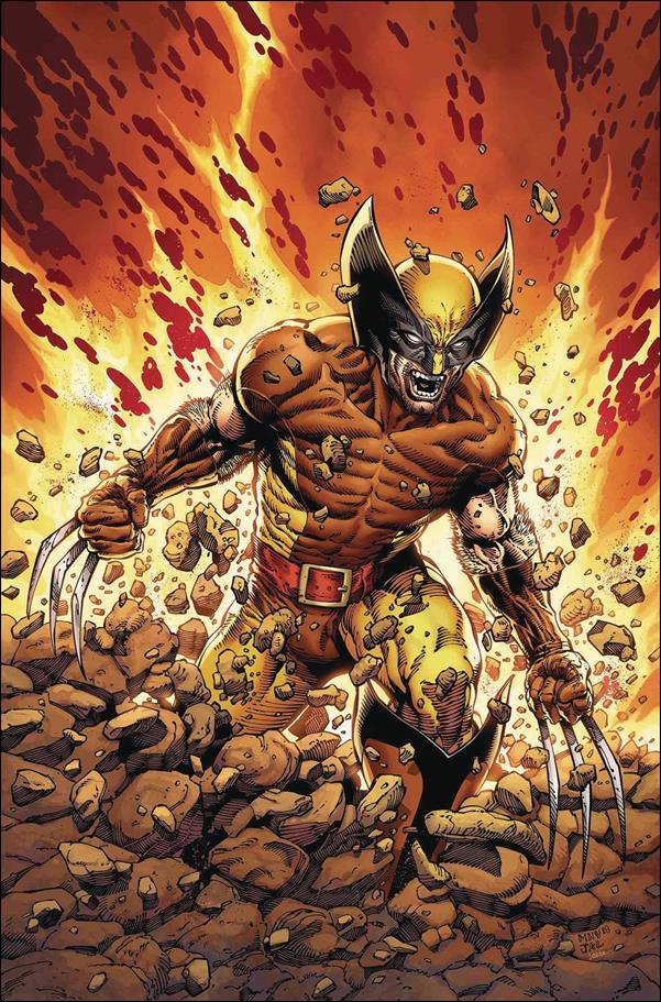 Return of Wolverine issue 1-R Steve McNiven "Brown & Tan" 1:300 Virgin Cover