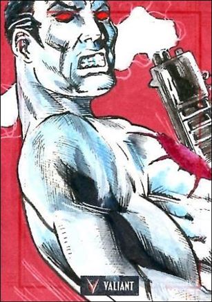 2013 Valiant Comics Preview Trading Card Set (Sketch Card Subset) card DC-02