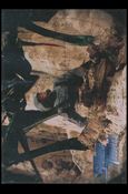 Starship Troopers: Series 1 (Base Set) card 25 Hopper Canyon