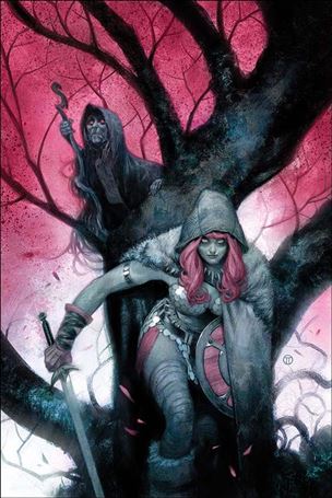 Vampirella / Red Sonja issue 4-J Julian Totino Tedeso Virgin Cover