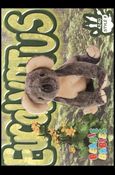 Beanie Babies Series 4 (Base Set) card 180 Eucalyptus
