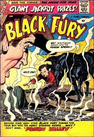 Black Fury issue 19