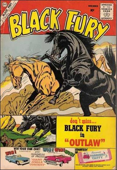 Black Fury issue 27