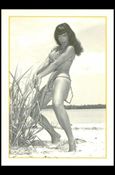 Bunny Yeager's Bettie Page (Base Set) card 13