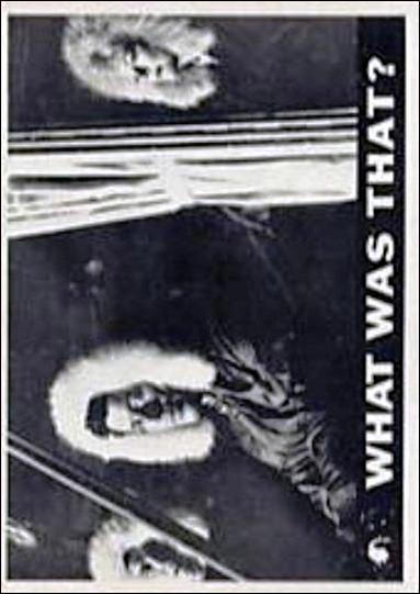 Lost in Space  (Base Set) card 47 What Was That?