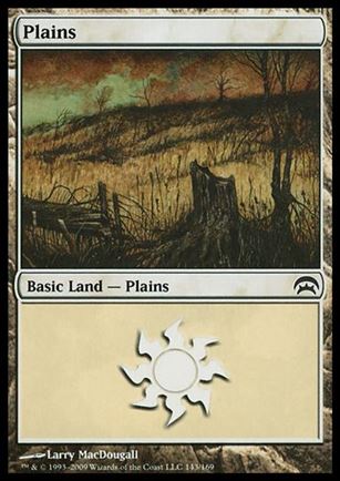 Magic the Gathering: Planechase (Base Set) card 143 Plains