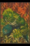 Savage Dragon (Prism Subset) Cover Image 1