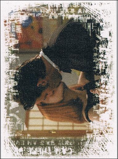 Buffy the Vampire Slayer Reflections: The High School Years (Base Set) card 33 Xander and Willow