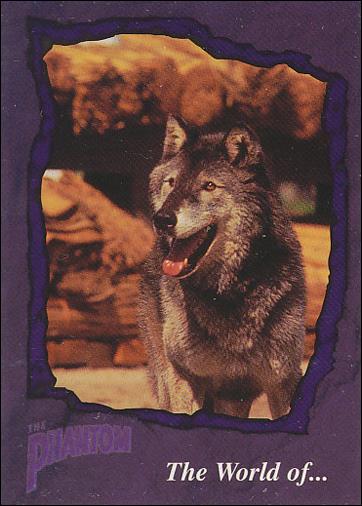 Phantom (Base Set) card 88 Devil
