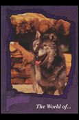 Phantom (Base Set) card 88 Devil